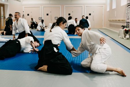 Aikido-65